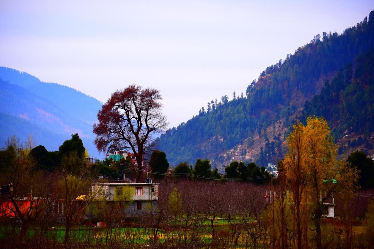 Hotel Kingston Manāli Dış mekan fotoğraf
